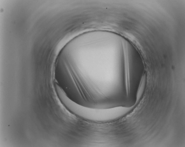 X0000088361520200706191205
