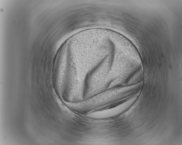 X0000088361534200706191206