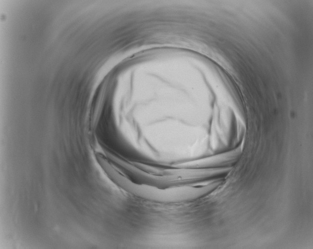 X0000088361536200706191206
