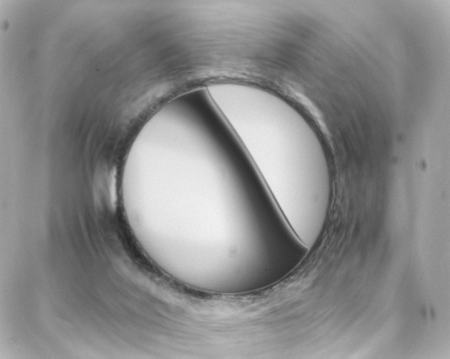 X0000088370020200705220728