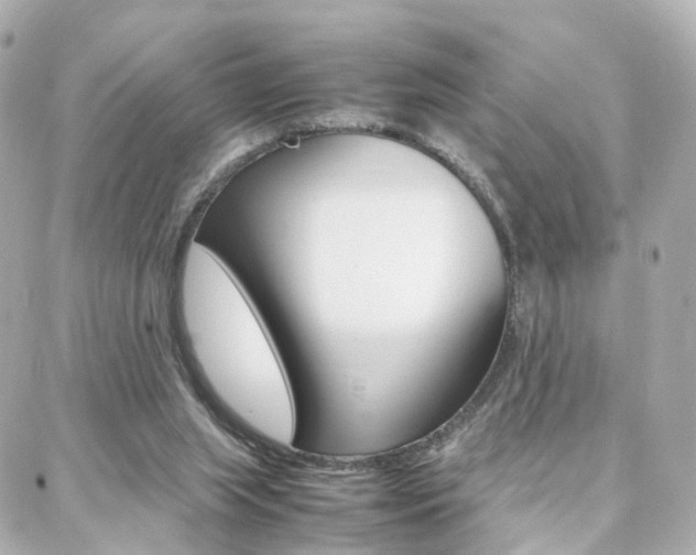 X0000088370063200705220727