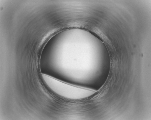 X0000088370064200705220727