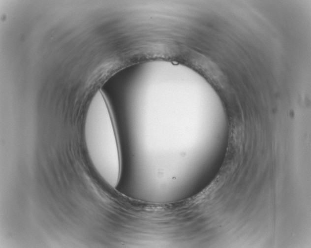 X0000088370070200705220727