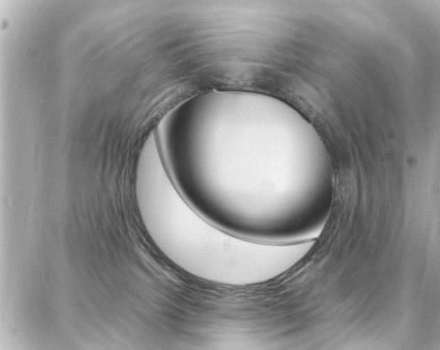 X0000088370092200705220728