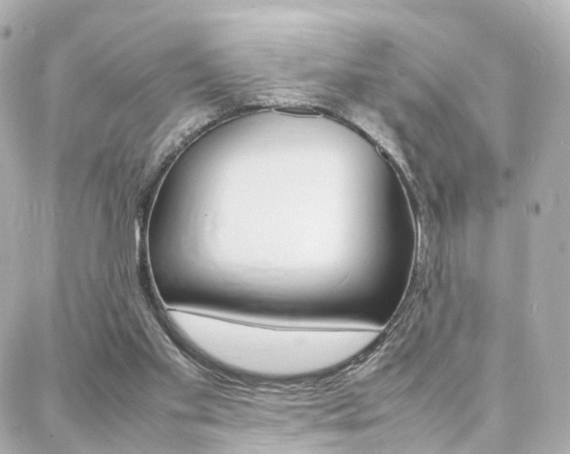 X0000088370109200705220727