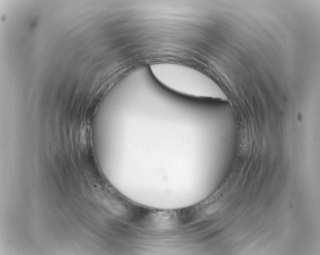 X0000088370126200705220727