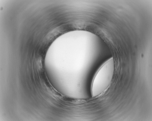 X0000088370128200705220727