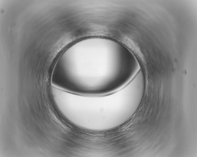 X0000088370156200705220726