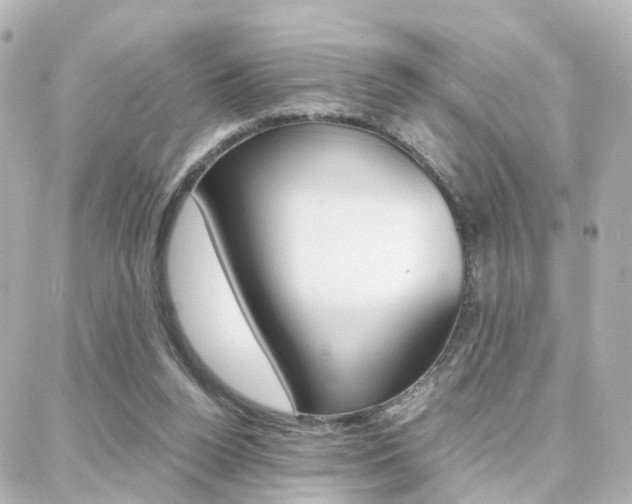 X0000088370160200705220726