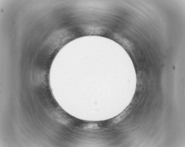 X0000088370162200705220726