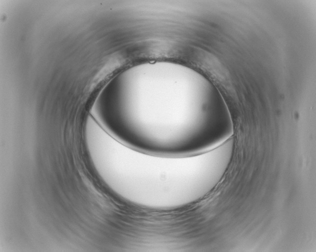 X0000088370164200705220726