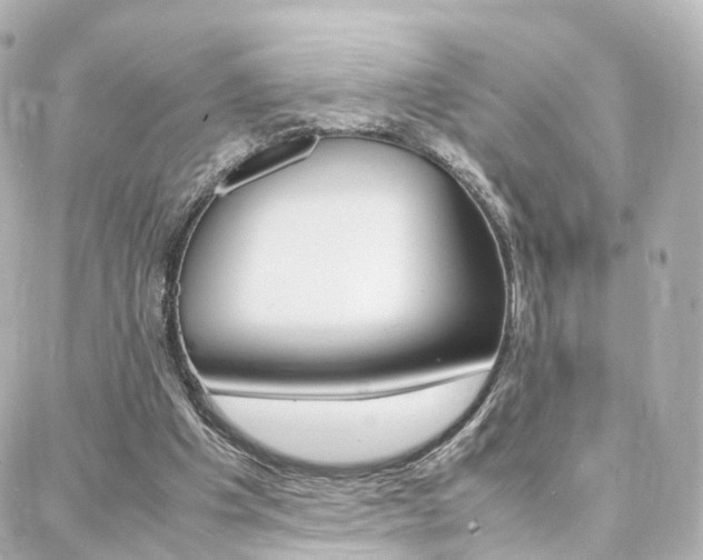 X0000088370201200705220725