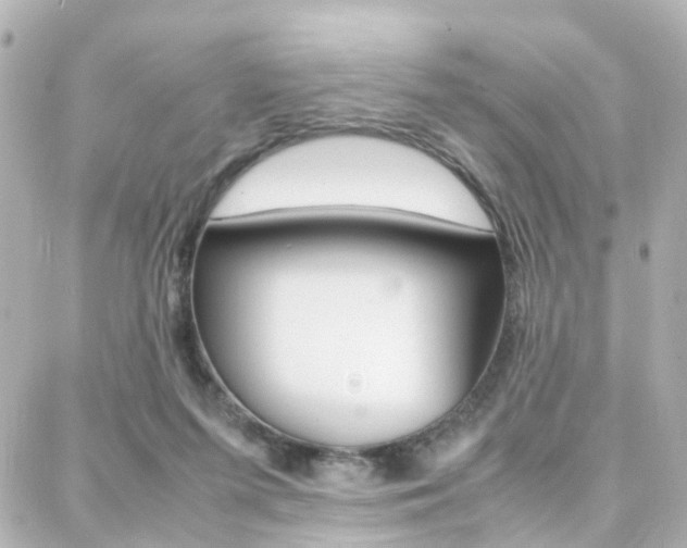 X0000088370215200705220725