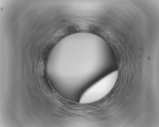 X0000088370223200705220725