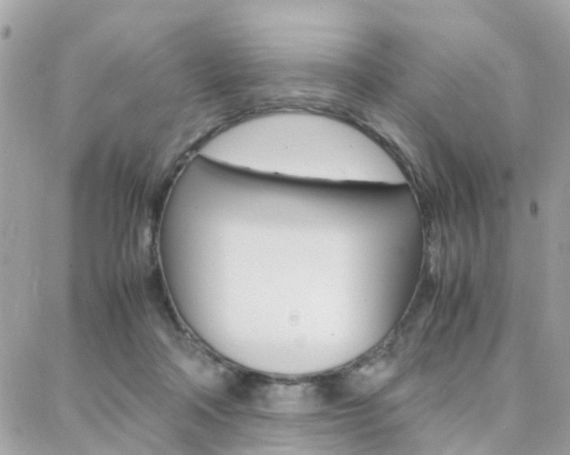 X0000088370314200705220724
