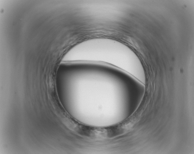 X0000088370317200705220723
