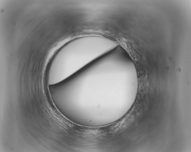 X0000088370342200705220722
