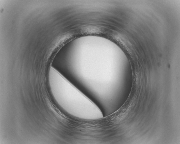 X0000088370447200705220721