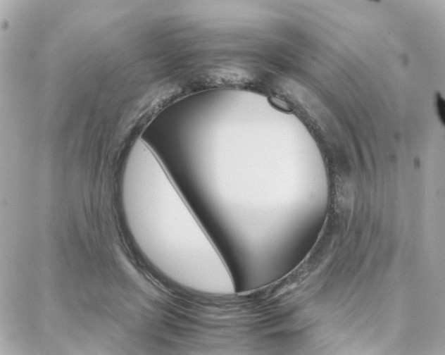 X0000088370451200705220721
