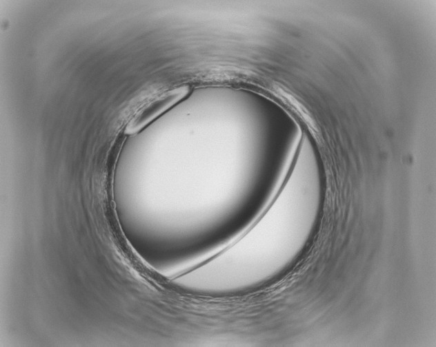 X0000088370485200705220721