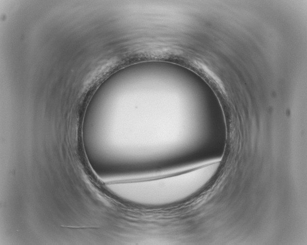 X0000088370493200705220721