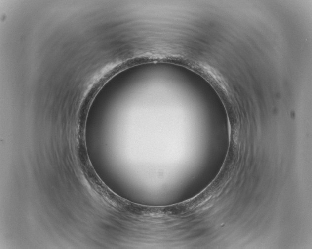 X0000088370540200705220719