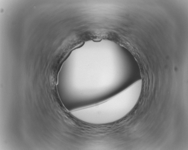 X0000088370609200705220719