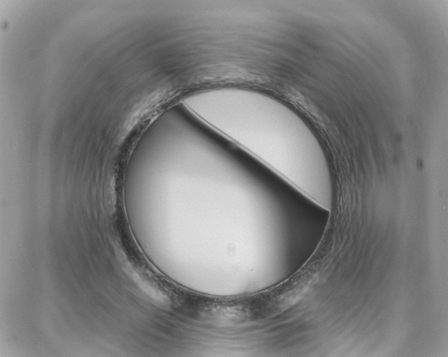 X0000088370638200705220718