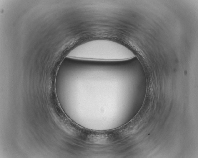 X0000088370639200705220718