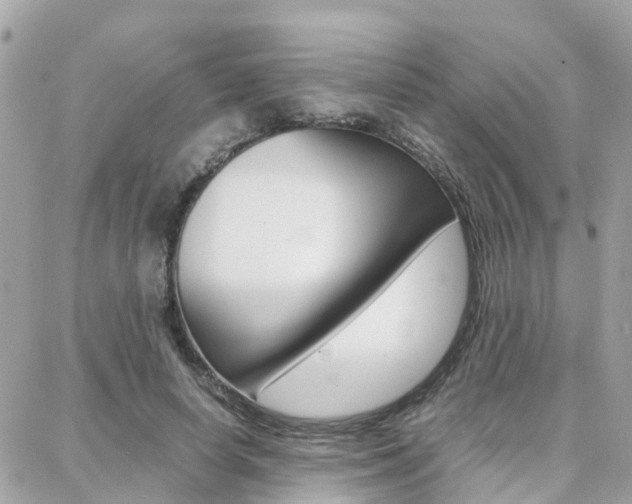 X0000088370642200705220718