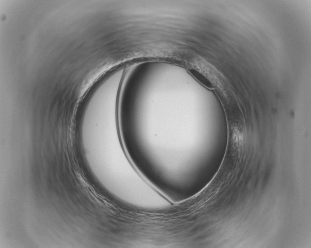X0000088370676200705220718