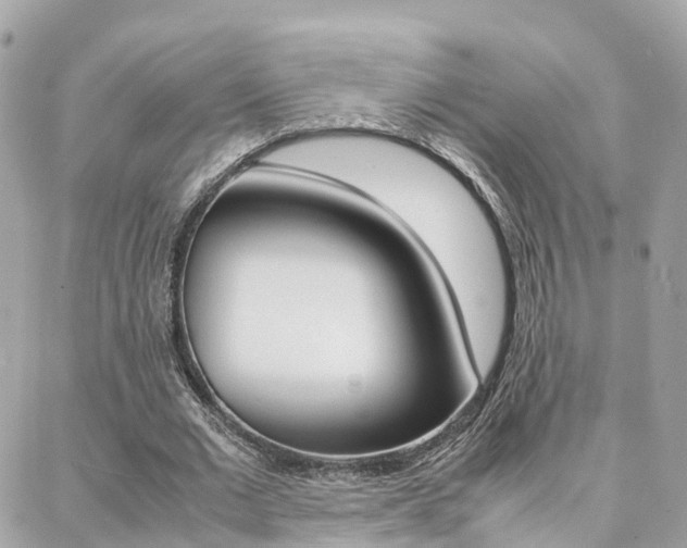 X0000088370677200705220718