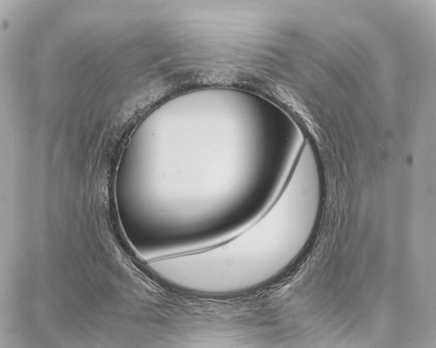 X0000088370681200705220718