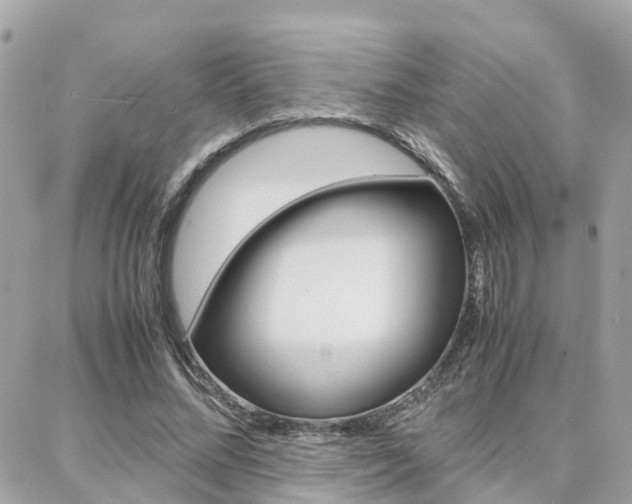 X0000088370684200705220718