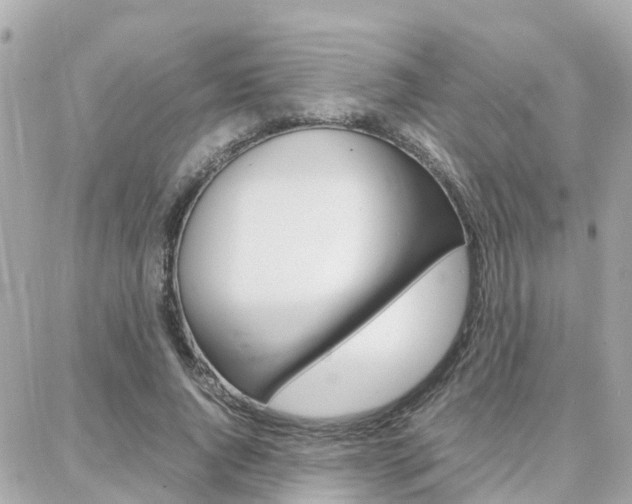 X0000088370736200705220716
