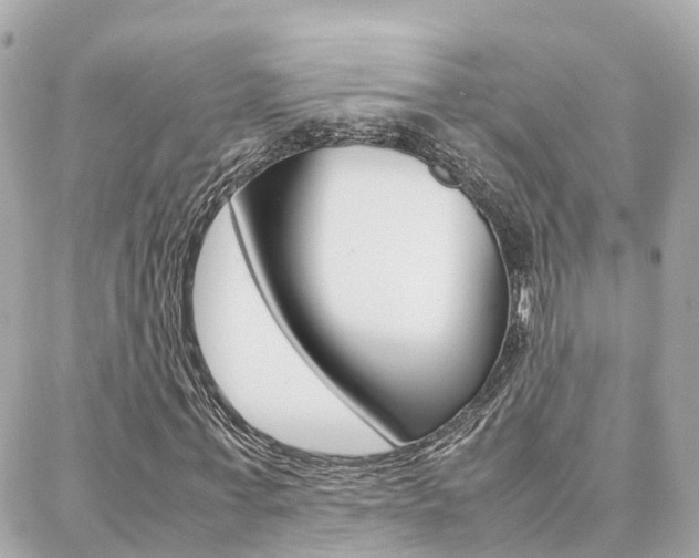 X0000088370771200705220716