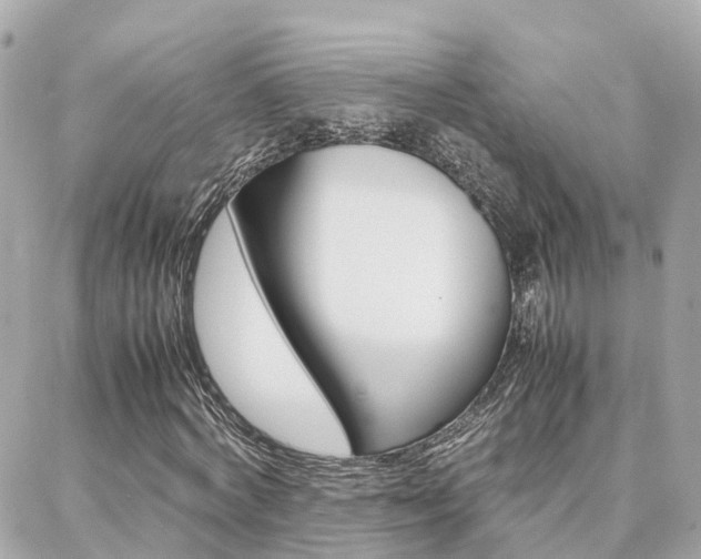 X0000088370772200705220716