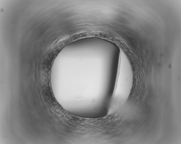 X0000088370773200705220716