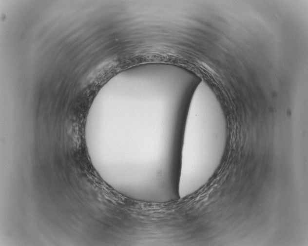 X0000088370774200705220716