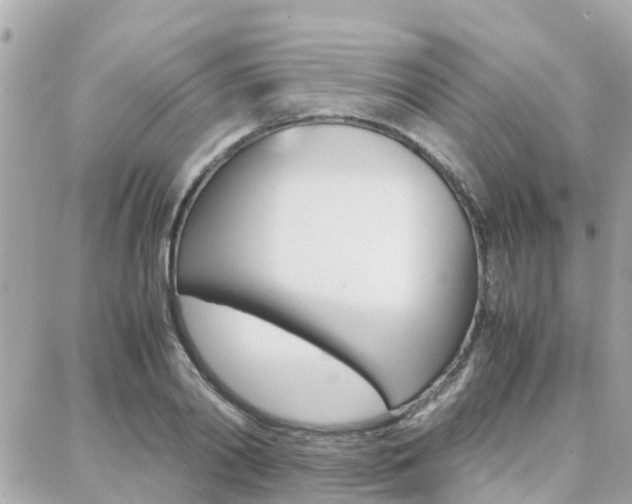 X0000088370790200705220716