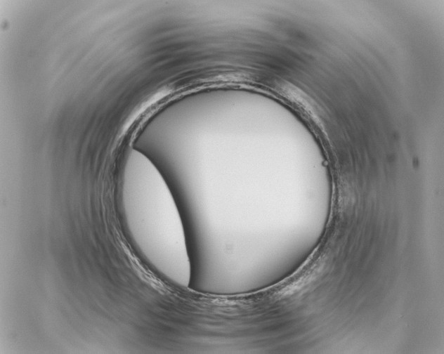 X0000088370827200705220715