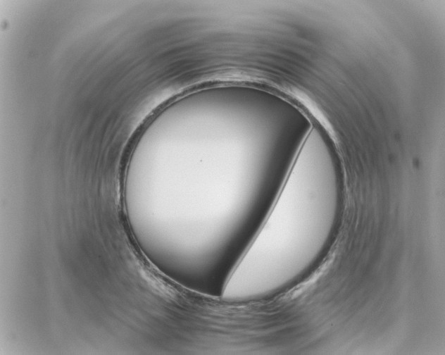 X0000088370837200705220715