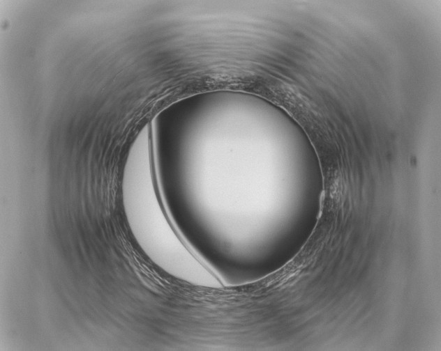 X0000088370868200705220715