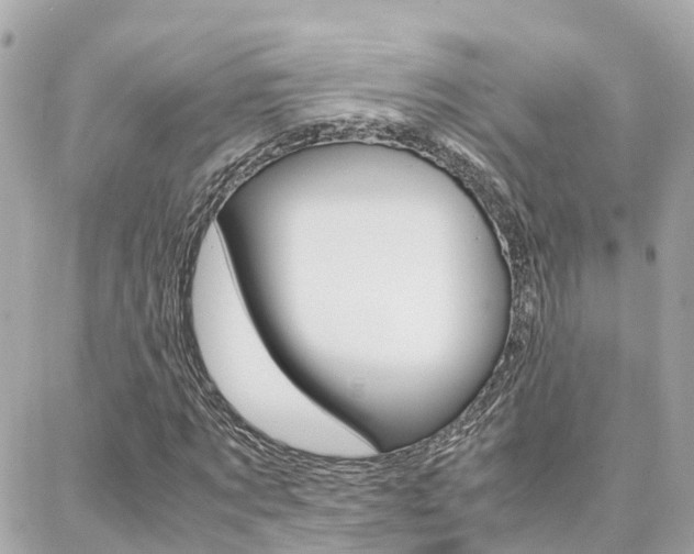 X0000088370869200705220715