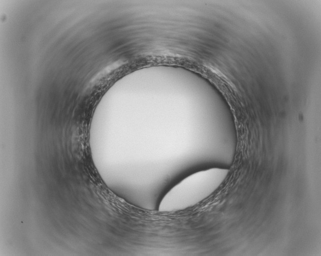 X0000088370870200705220714
