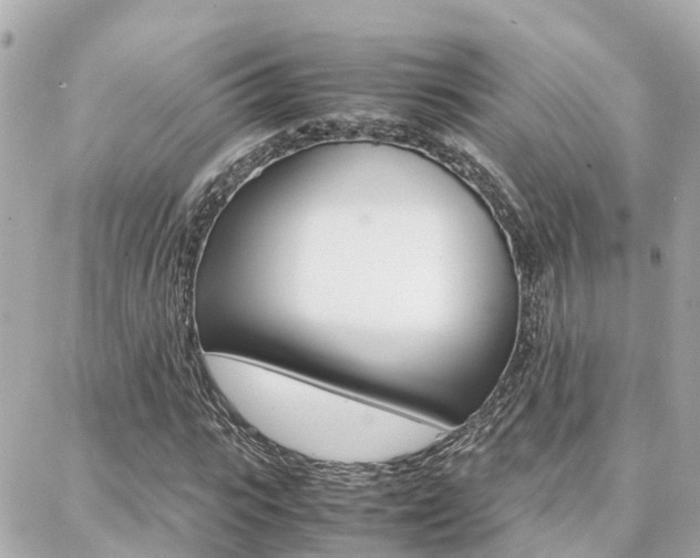 X0000088370919200705220713
