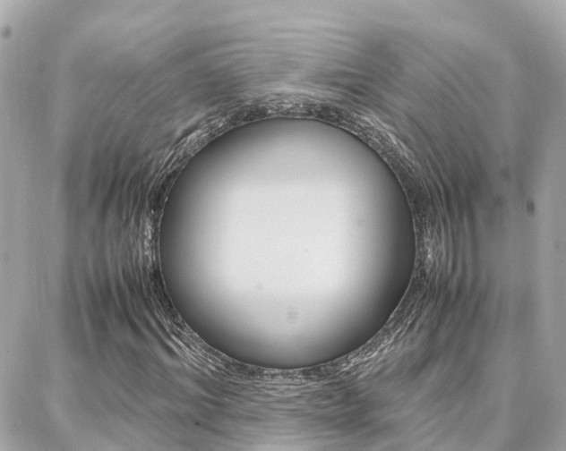 X0000088370964200705220713