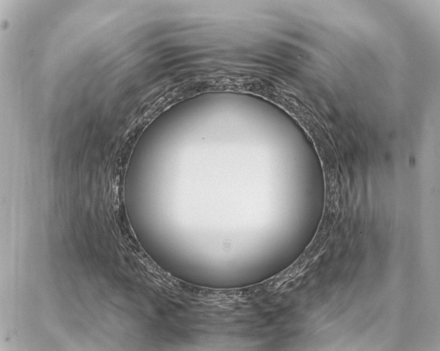 X0000088371013200705220712
