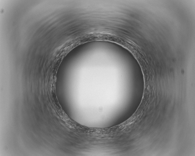 X0000088371014200705220712
