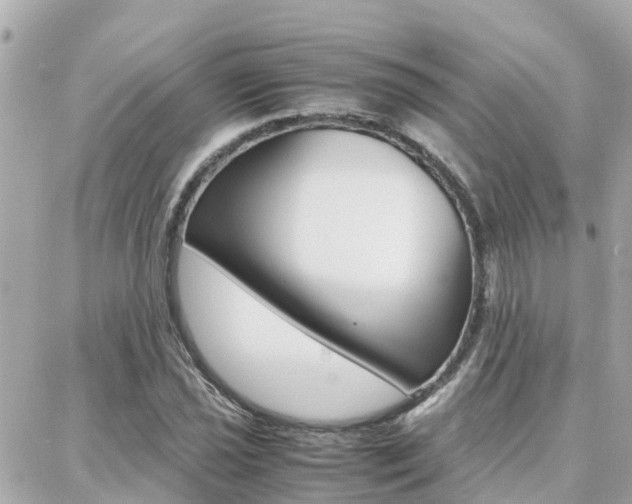 X0000088371021200705220712